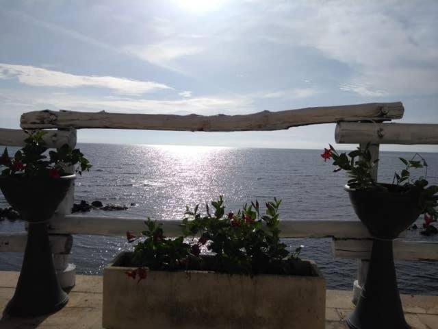 Al Chiaro Di Luna Resort Borgo Pantano Bagian luar foto
